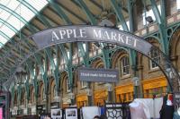 IMG_1426.JPG