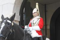 IMG_1531.JPG