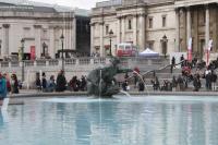 IMG_1541.JPG