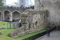 IMG_1984.JPG