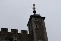 IMG_1985.JPG