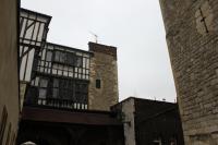 IMG_1994.JPG