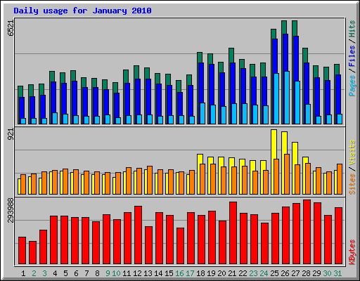 Daily usage for January 2010