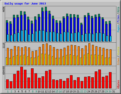 Daily usage for June 2013