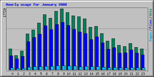 Hourly usage for January 2008