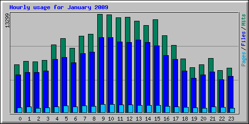 Hourly usage for January 2009