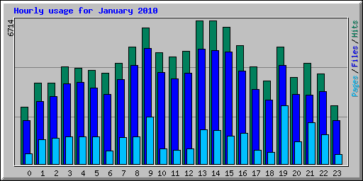 Hourly usage for January 2010
