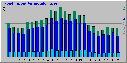 Hourly usage for December 2010