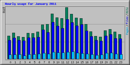 Hourly usage for January 2011