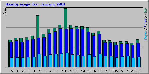 Hourly usage for January 2014