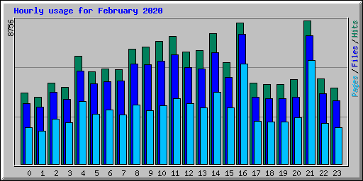 Hourly usage for February 2020