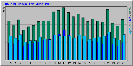 Hourly usage for June 2020